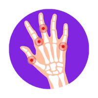 Joint Comfort & Mobility Support